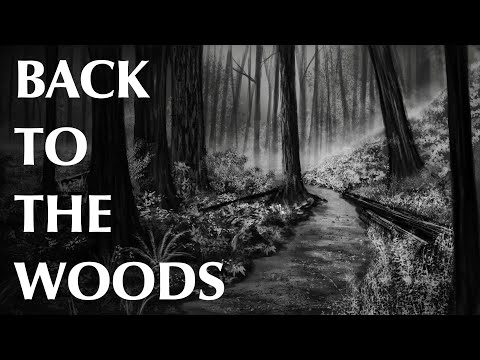 There is Something in the Woods - Part Two | Back to the Woods