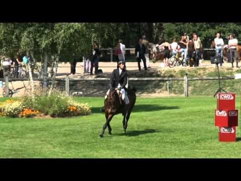 Rinaldo Rouge (Quite easy)