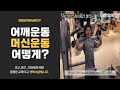 어깨 운동, 머신 숄더 프레스(Machine shoulder press ,헬스장 초보, 헬스장기구사용법, 헬스장 운동기구 사용법[건디ROY]