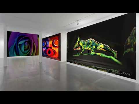 Living Art - transformed into 3-dimensional fluid flows!