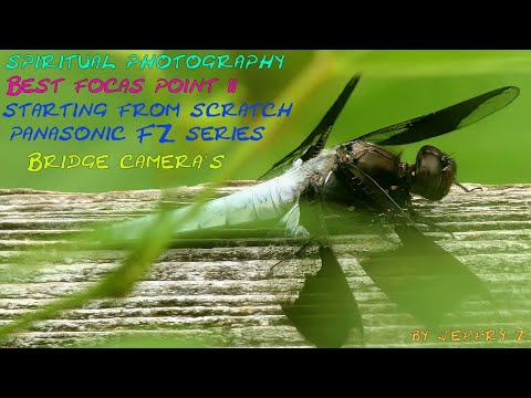 best focus point II from scratch Panasonic fz series bridge cameras by Jeffry z