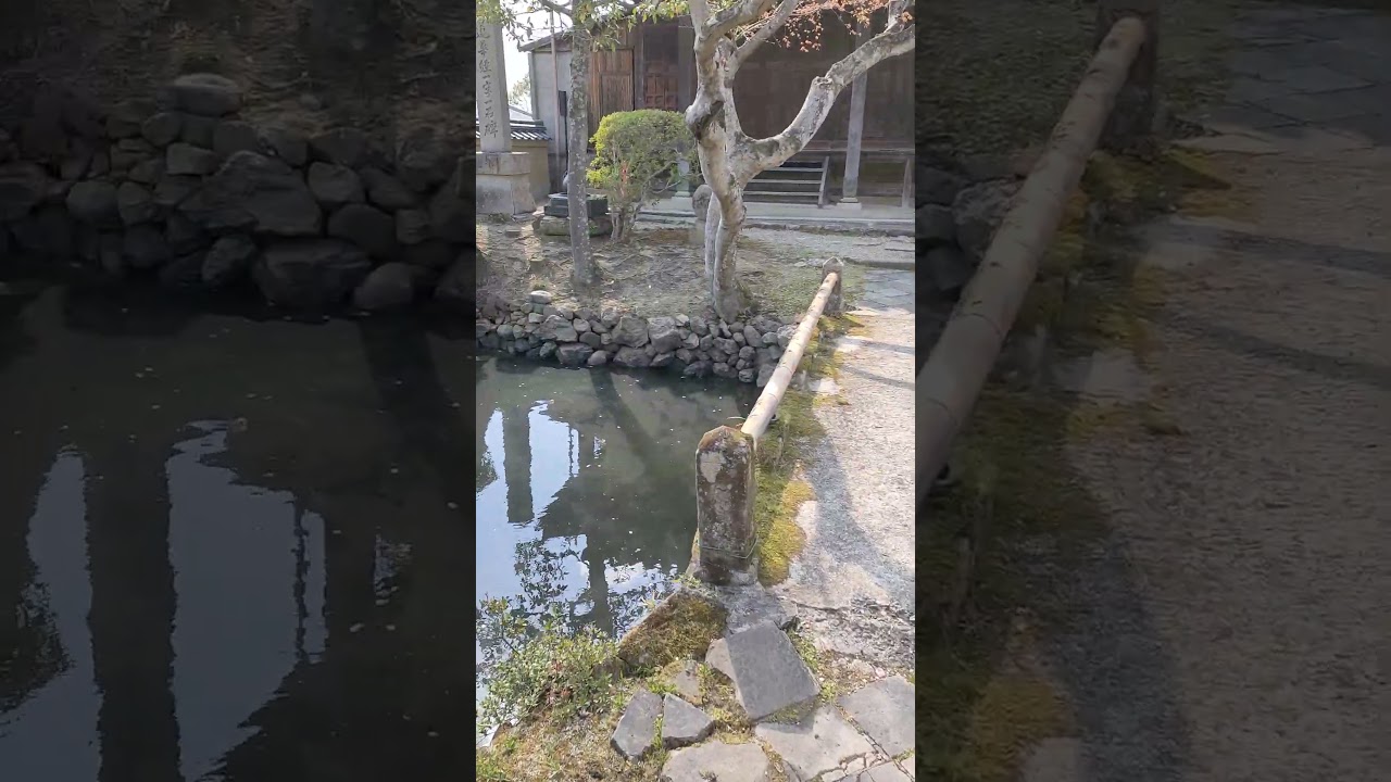 YouTube Short thumbnail