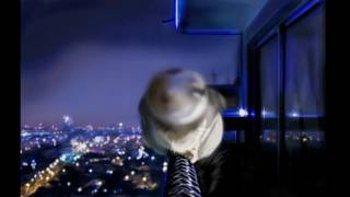 Ночные огоньки (night lights)