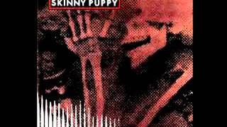 Skinny Puppy - Solvent (by Adrianoebm)