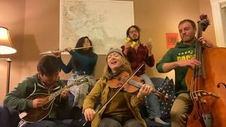 Twisted Pine /// Janice (David Grisman)