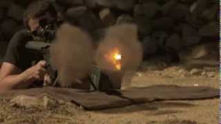 Roger Waters - Too Much Rope