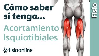 Cómo saber si tienes un ACORTAMIENTO de los músculos isquiotibiales