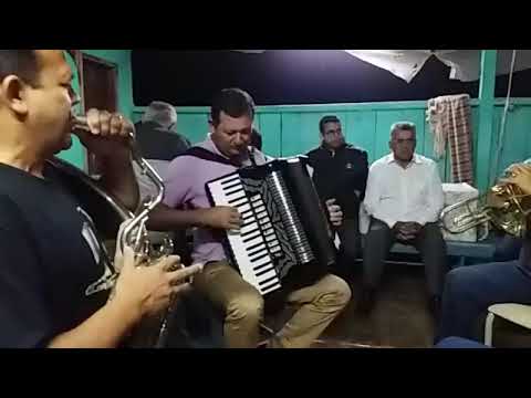 DVD Tocata Gleba Apucaraninha Tamarana PR (1)