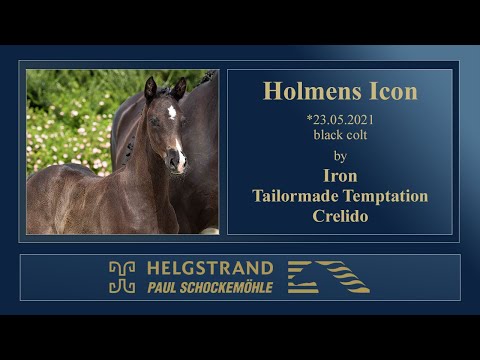 8 Holmens Icon by Iron - Temptation - Crelido