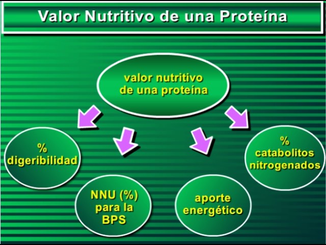 Vídeo relacionado con MAP Master Amino Acid Pattern fórmula original - Prof. Dr. Maurizio Luca Moretti