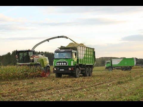 Loonw Francois - Sint-Ulriks-Kapelle - Claas Jaguar 960 - M.A.N silagetruck