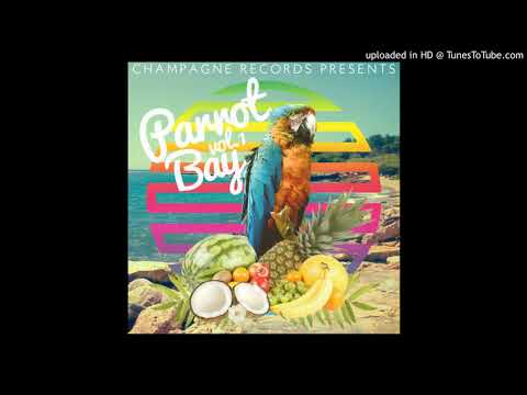 Tempogeist - There's Nothing