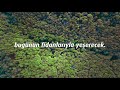 Vakıf GYO 25.Yıl Hatıra Ormanı