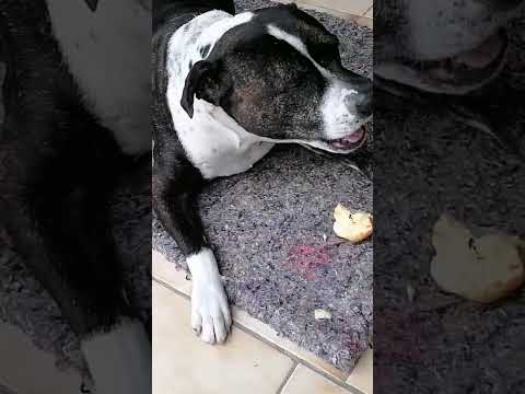 #brock recovery mode