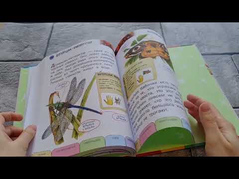 Миниатюра изображения товара Энциклопедия Эксмо Все насекомые, птицы, рыбы с крупными буквами (Ананьева Е.Г.)