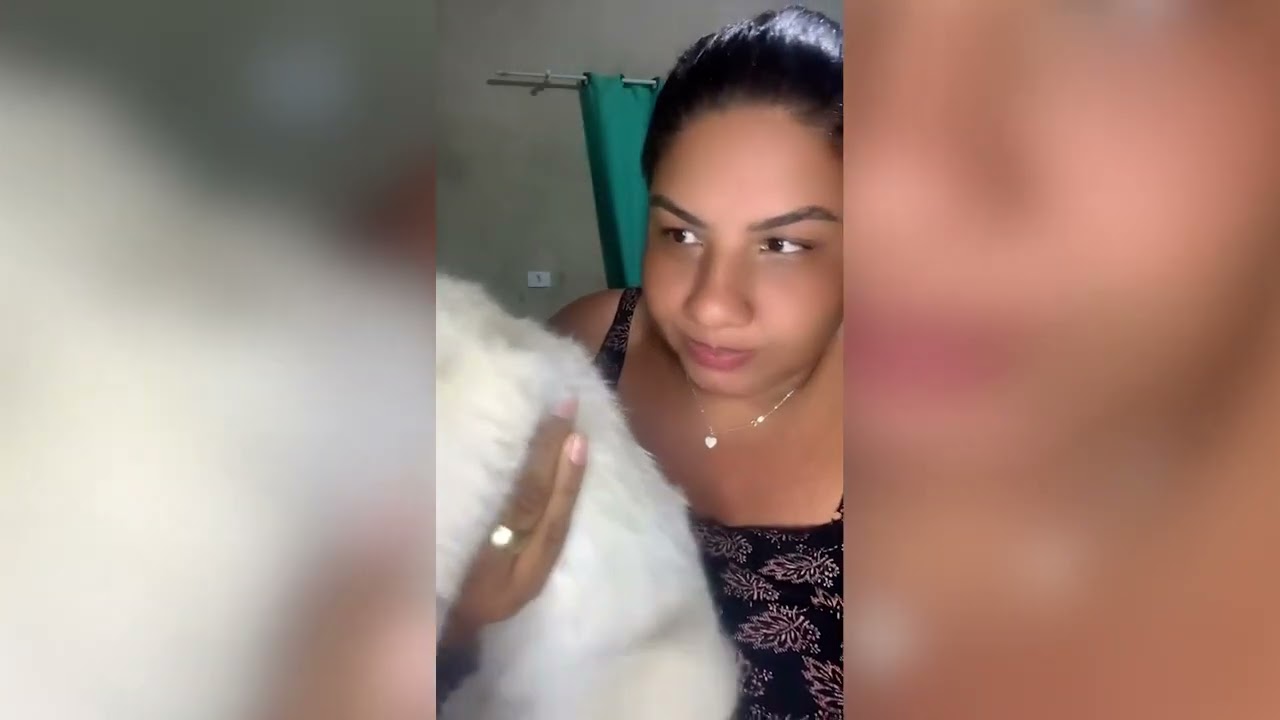 JOSÉ CARLOS! O gato que conquistou o Brasil com puro deboche!