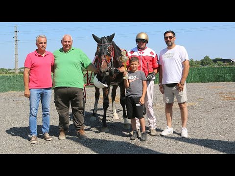 Medy de Sajan (RS) - Kovačević M.