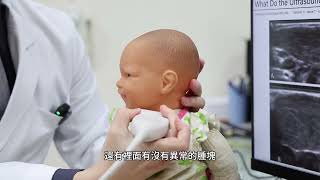 寶寶頭歪歪 早期治療秘訣大公開│蔡侑霖醫師