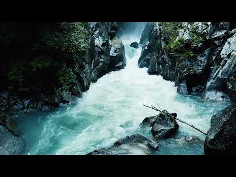 Devocional Tim Keller - Devocionais Cristãos, dia 16/02/2022 - Salmo 26:1-5