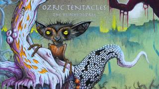 Ozric Tentacles - San Pedro