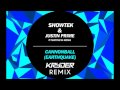Showtek & Justin Prime ft Matthew Koma ...