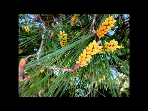 Прогулки по 