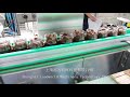 Pickles Filling Machine