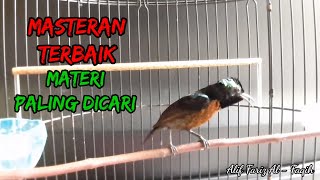 Download lagu Masteran Konin Gacor Full Materi Paling Dicari ! Suara Konin Gacor Full Tembakan Kasar mp3