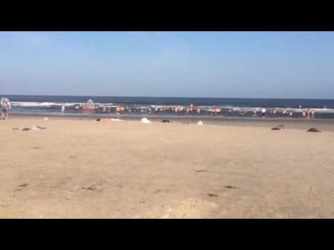 Vejers Strand- morgenbadning