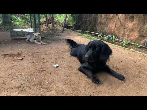 Milly & Tobby together