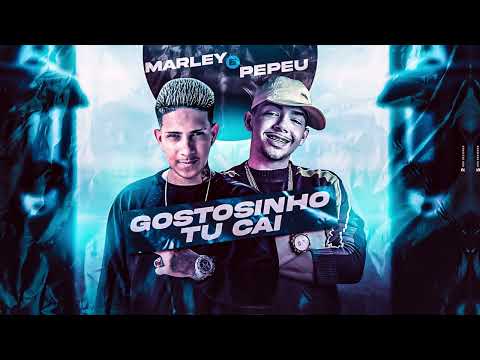 MC MARLEY E MC PEPEU - GOSTOSINHO TU CAI (REMIX BREGA FUNK) DOUG HITS | TIK TOK