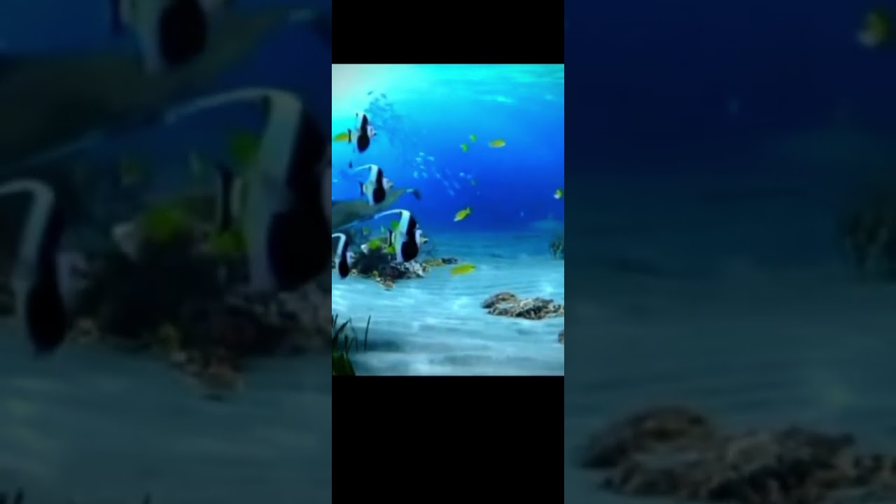 Frutiger Aero￼ Commercials ￼ #2000s #wallpaper #2010s #nostalgia #music #aesthetic #gaming #love