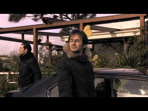 Articolo 9 della costituzione