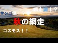 channel