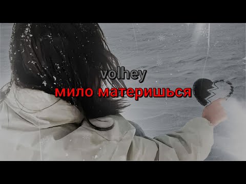 volhey - мило материшься (текст песни)