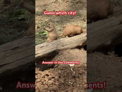 Guess which city! Answer in the comments!