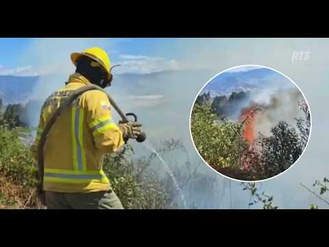 Incendios forestales en Carchi consumen más de 1,200 hectáreas en temporada crítica