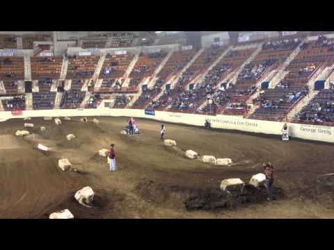 cameron dowell podium