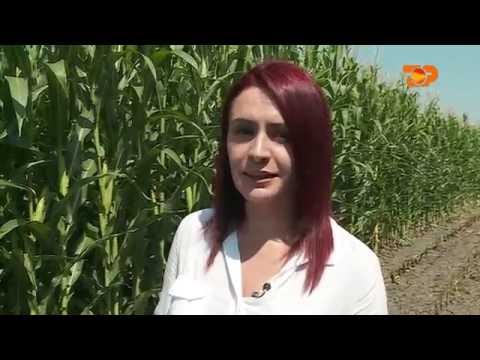 Ne Shtepine Tone, 8 Shtator 2016, Pjesa 2 - Top Channel Albania - Entertainment Show