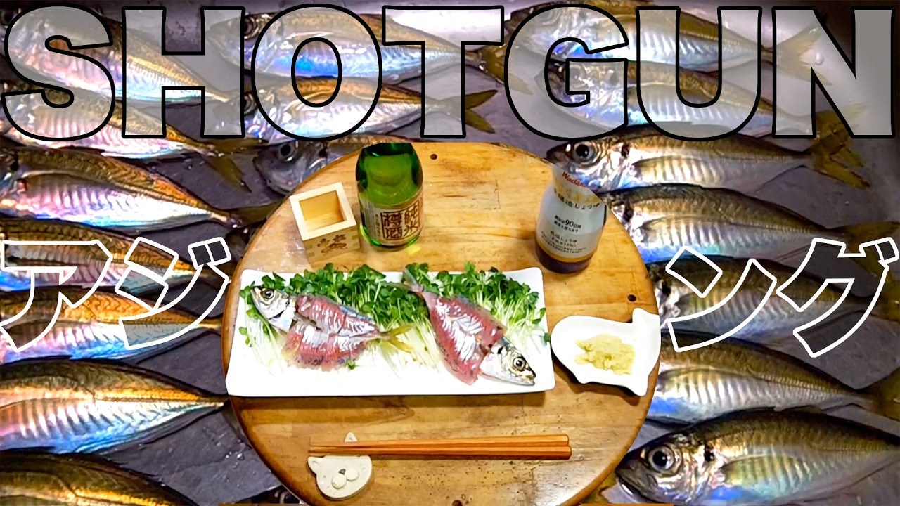 大都会ヨコハマでプレジャーボートのShotGunアジング【アーバンなアジのお造り】