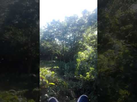 trenul R 5413 Adjud - Suceava nord cu EA 646 & Tren marfar UTZ cu EA 778 și încă un EA legat