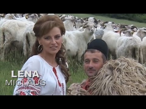 Lena Miclaus -  Prin Sibiu prin marginime