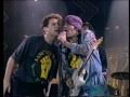 LITTLE STEVEN SUN CITY LIVE 1990