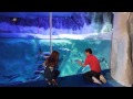 National SEA LIFE Centre Birmingham 2015 TV And Cinema Advert