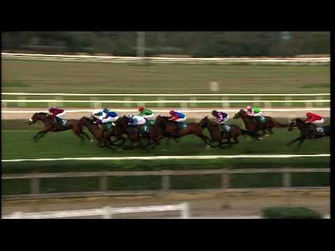 27/10/2024  - corsa 5 - premio LYDIA TESIO BET365 SCORES - II TRIS