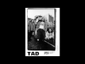 TAD - Flame Tavern [Live 1991] Great Quality !