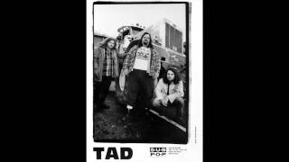 TAD - Flame Tavern [Live 1991] Great Quality !