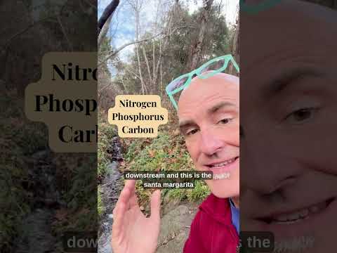 Nutrient Cycling