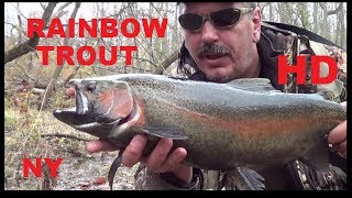 preview picture of video 'RAINBOW TROUT - JOHNSON CREEK'