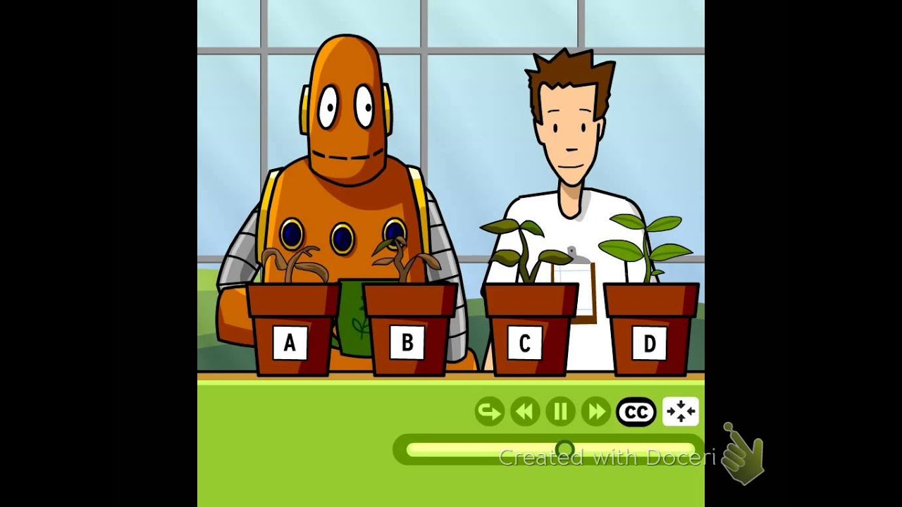 second attempt scientific method assessment